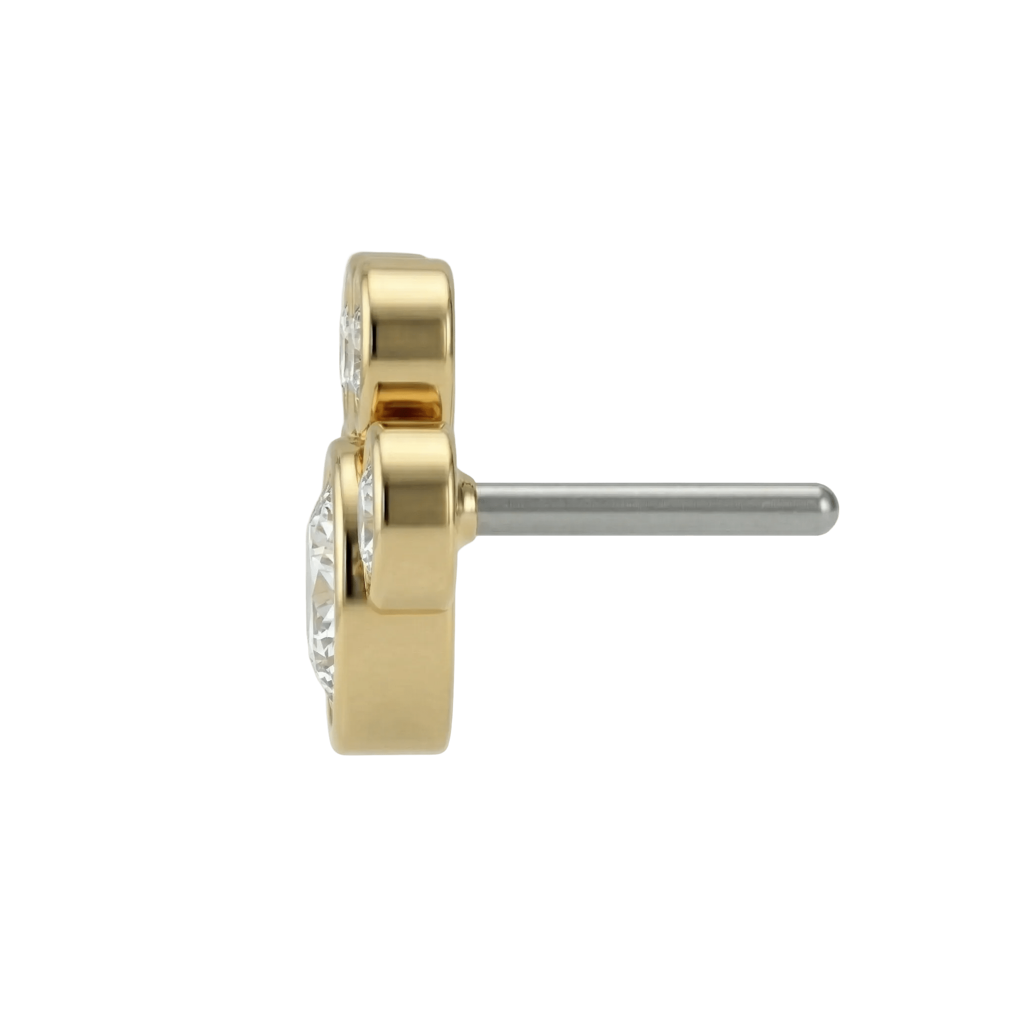 Paw – 14K Gold Threadless/Threaded End - piercing - zone.com