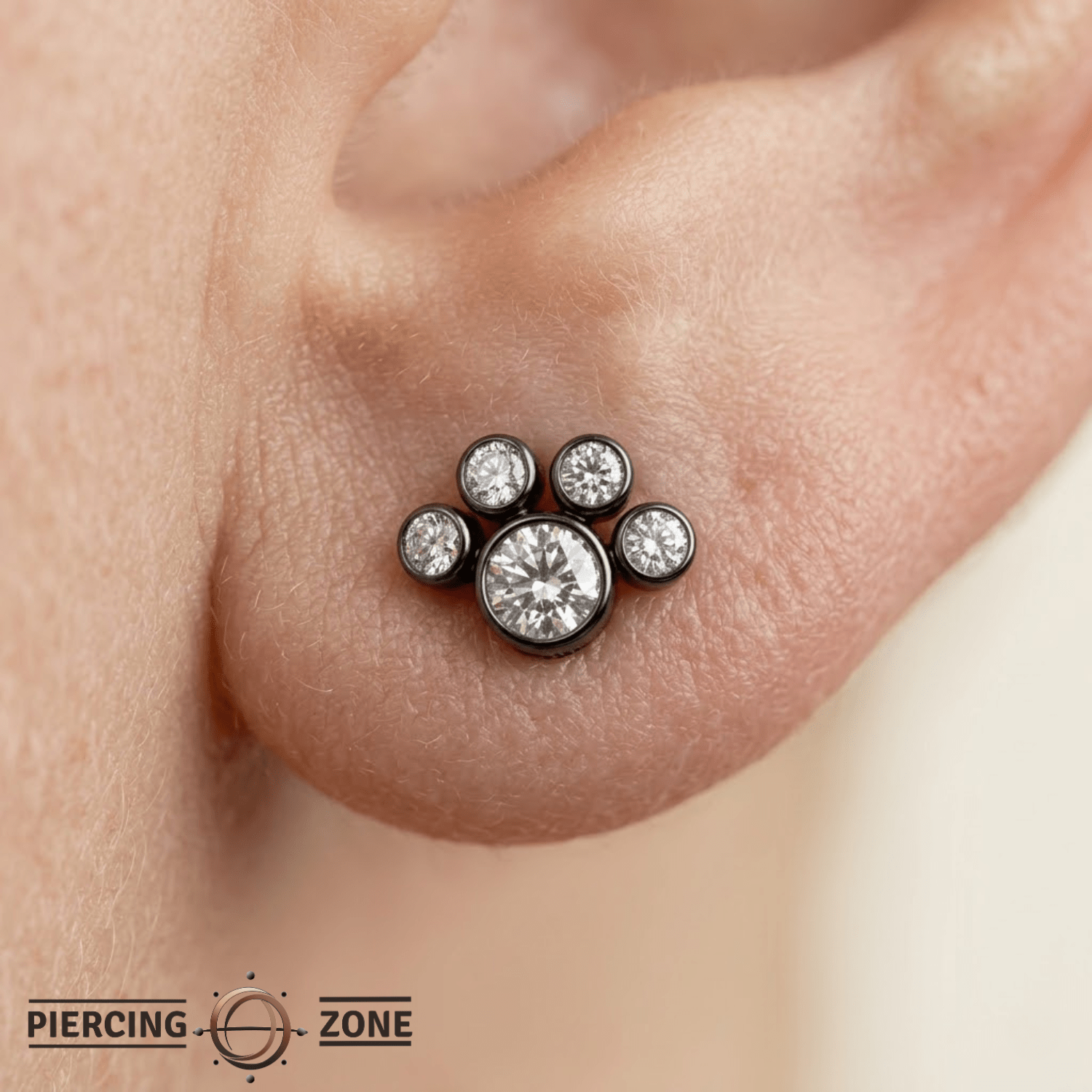 Paw – 14K Gold Threadless/Threaded End - piercing - zone.com