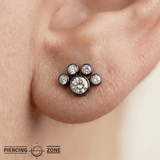 Paw – 14K Gold Threadless/Threaded End - piercing - zone.com