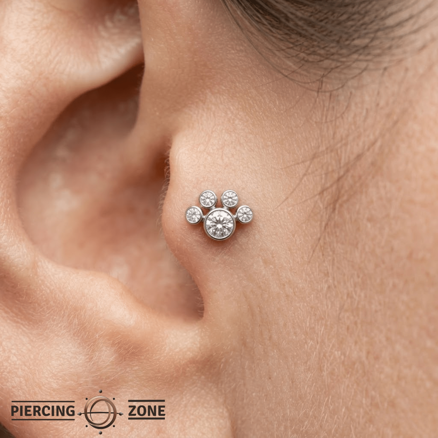 Paw – 14K Gold Threadless/Threaded End - piercing - zone.com