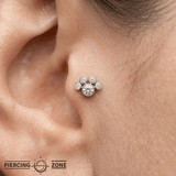 Paw – 14K Gold Threadless/Threaded End - piercing - zone.com