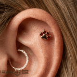 Paw Print - 18K Gold Genuine Gem Threadless/Threaded End - piercing-zone.com