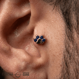Paw Print - 18K Gold Genuine Gem Threadless/Threaded End - piercing-zone.com