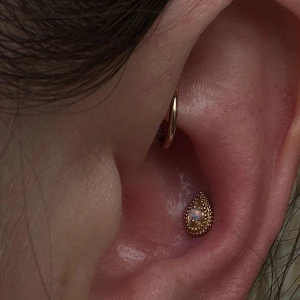 Pear Opal Double Millgrain - 14K Gold - piercing - zone.com