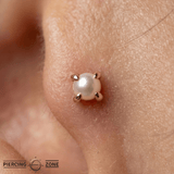 Pearl Prong – Freshwater Pearl – 14K Gold Threadless End - piercing - zone.com
