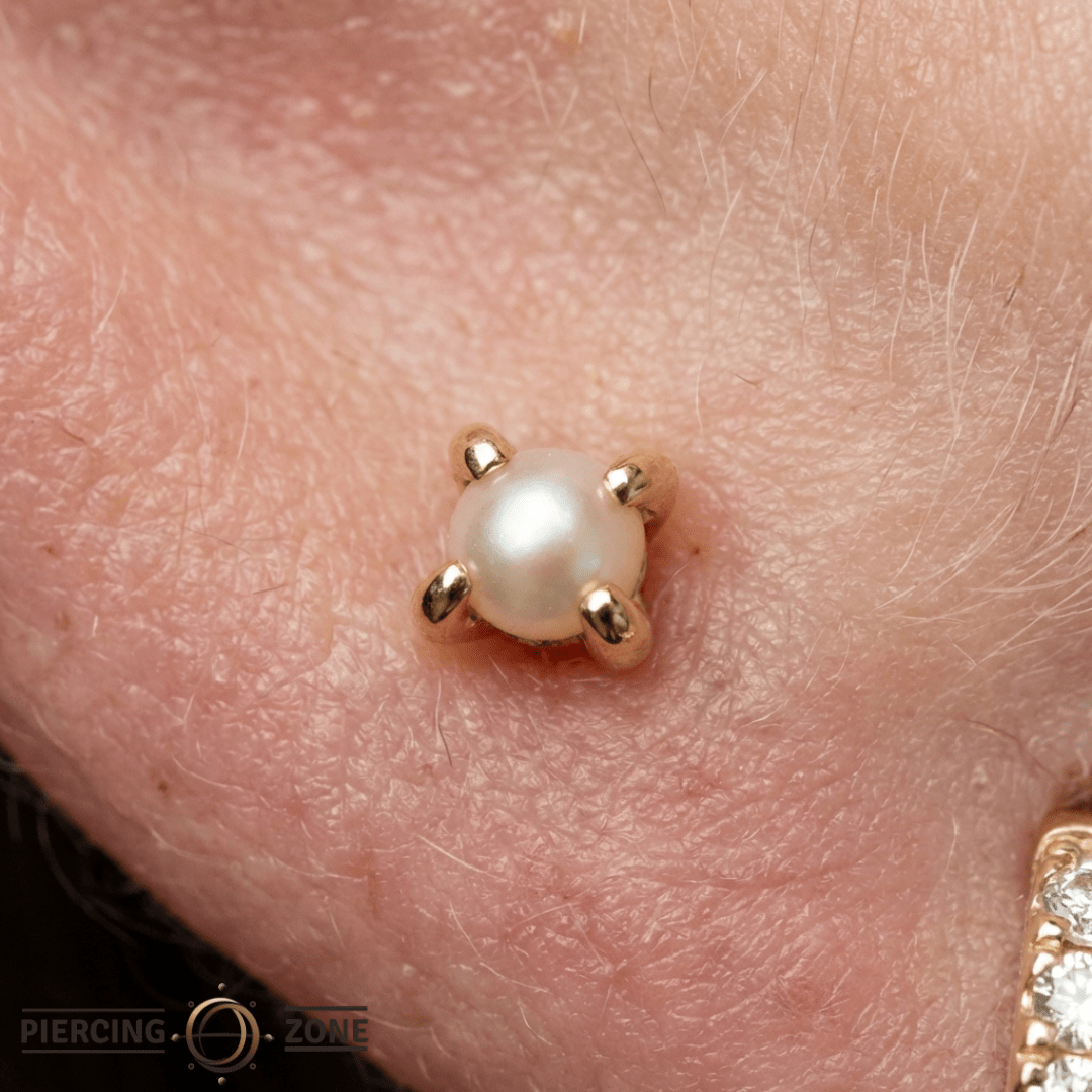 Pearl Prong – Freshwater Pearl – 14K Gold Threadless End - piercing - zone.com