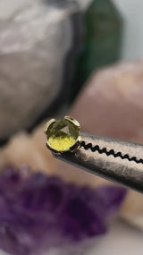 Peekaboo – Peridot – 14K Gold Threadless End - piercing - zone.com