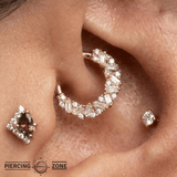 Petty Cash – Swarovski & CZ Pavé – 14K Gold Clicker Ring - piercing - zone.com