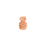 Pineapple – 14K Gold Threadless & Threaded End - piercing - zone.com