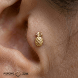 Pineapple – 14K Gold Threadless/Threaded End - piercing - zone.com