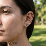 Pineapple – 14K Gold Threadless/Threaded End - piercing - zone.com