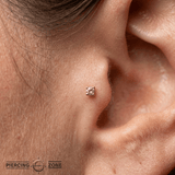 Pink Sapphire Prong – Classic Gem – 14K Gold Threadless End - piercing - zone.com