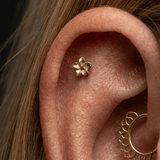 Plumeria Pin - 14K Gold Floral Threadless End - piercing - zone.com
