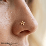 Plumeria Pin - 14K Gold Floral Threadless End - piercing - zone.com