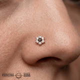 Pointy Flower - 14K Gold Threadless/Threaded - piercing - zone.com