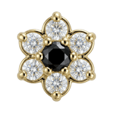Pointy Flower - 14K Gold Threadless/Threaded - piercing - zone.com
