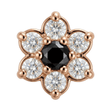 Pointy Flower - 14K Gold Threadless/Threaded - piercing - zone.com