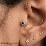 Pointy Flower - 14K Gold Threadless/Threaded - piercing - zone.com
