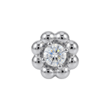 Poppy – 14K Gold Threadless/Threaded End - piercing-zone.com