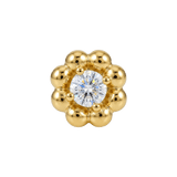 Poppy – 14K Gold Threadless/Threaded End - piercing-zone.com