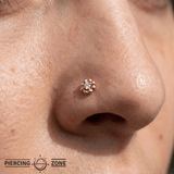 Poppy – 14K Gold Threadless/Threaded End - piercing - zone.com