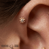 Poppy – 14K Gold Threadless/Threaded End - piercing - zone.com
