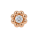 Poppy – 14K Gold Threadless/Threaded End - piercing-zone.com