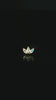 Moet Mini Threadless End with Rainbow Moonstone - 14K Gold Gem End - piercing - zone.com