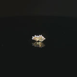 Risk Taker CZ - 14K Gold Gem Threadless End - piercing - zone.com