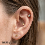 Pride Camellia – 14K Gold Threadless/Threaded End - piercing - zone.com
