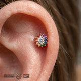 Pride Camellia – 14K Gold Threadless/Threaded End - piercing - zone.com