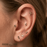 Pride Dragonfly with Gems – 14K Gold Threadless/Threaded End - piercing - zone.com