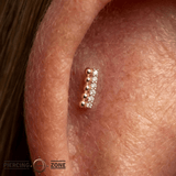Prophesy – CZ Bar – 14K Gold Threadless End - piercing - zone.com