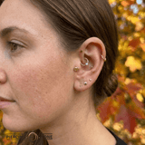Pumpkin – 14K Gold Threadless/Threaded End - piercing - zone.com