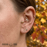 Pumpkin – 14K Gold Threadless/Threaded End - piercing - zone.com