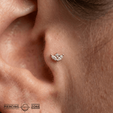 Pur – Tapered CZ Trio – 14K Gold Threadless End - piercing - zone.com