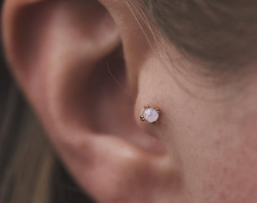 Rainbow Moonstone Prong – 14K Gold Threadless End - piercing - zone.com
