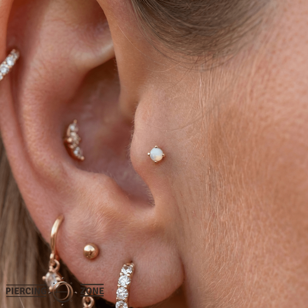 Rainbow Moonstone Prong – 14K Gold Threadless End - piercing - zone.com