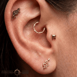 Rat – 14K Gold Threadless/Threaded End - piercing - zone.com