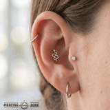 Rattlesnake – 14K Gold Threadless & Threaded End - piercing - zone.com