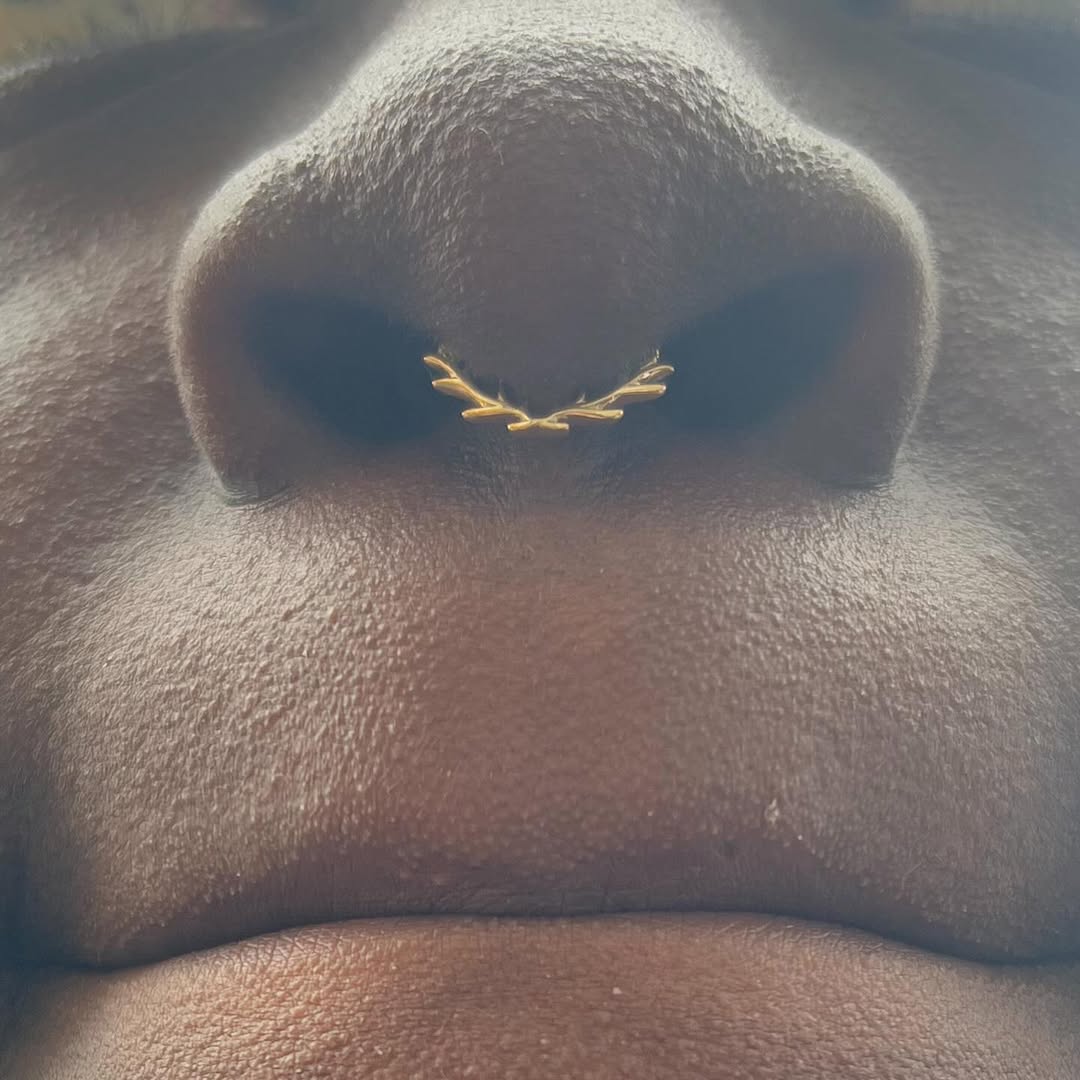 Raven Ring – Antler - Inspired Seam Ring – 14K Gold - piercing - zone.com