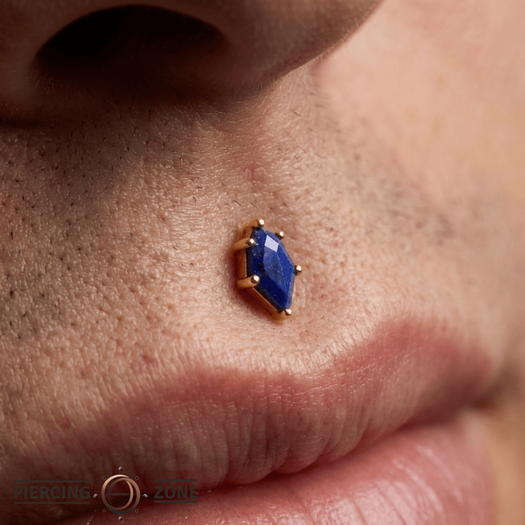 Reputation – Lapis Lazuli – 14K Gold Threadless End - piercing - zone.com