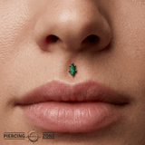 Reputation – Malachite – 14K Gold Threadless End - piercing - zone.com