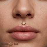 Reyna – Pink Tourmaline – 14K Gold Threadless End - piercing - zone.com