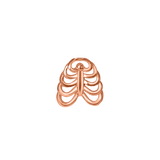 Rib Cage – 14K Gold Threadless & Threaded End - piercing - zone.com