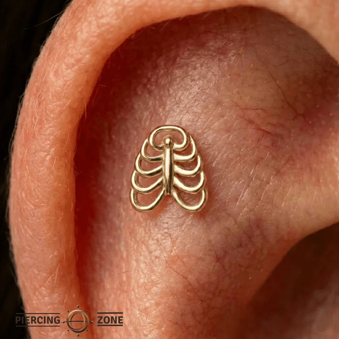 Rib Cage – 14K Gold Threadless/Threaded End - piercing - zone.com
