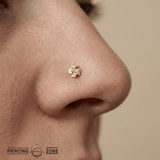 Rose – 14K Gold Threadless/Threaded End - piercing - zone.com