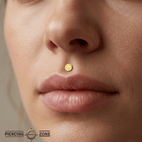 Round Disc Diamond - cut – 14K Gold Threadless/Threaded End - piercing - zone.com