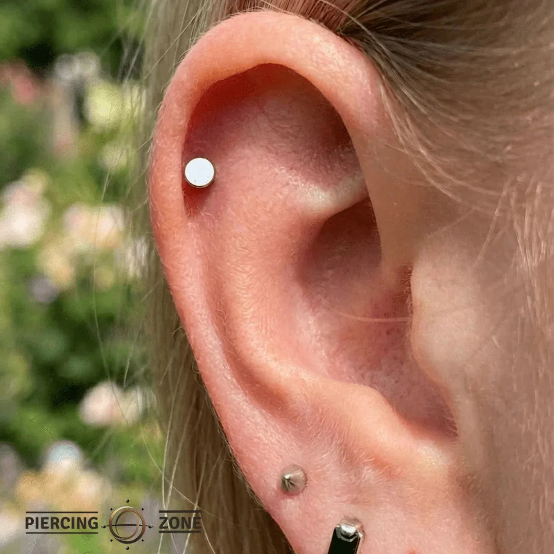 Round Disc – Flat Polished End – 14K Gold Threadless & Threaded - piercing - zone.com