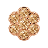 Rounded Flower - 14K Gold Threadless/Threaded - piercing-zone.com